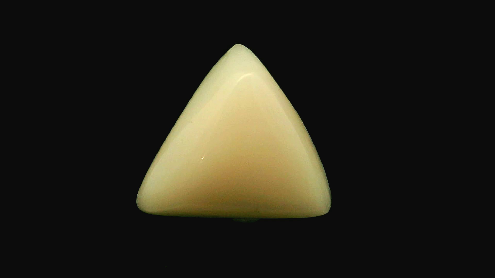 Natural White Coral / Moonga 5.40 cts