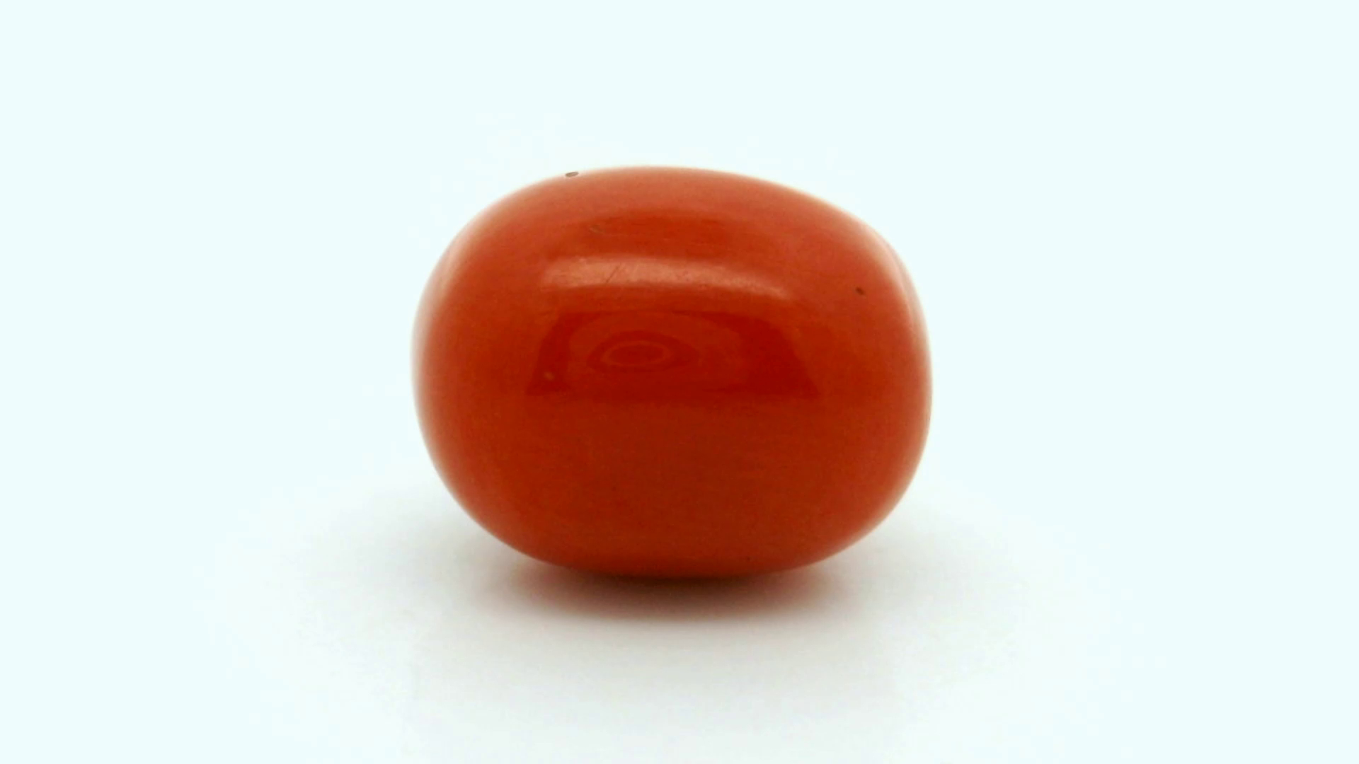 Natural Coral 3.60 cts