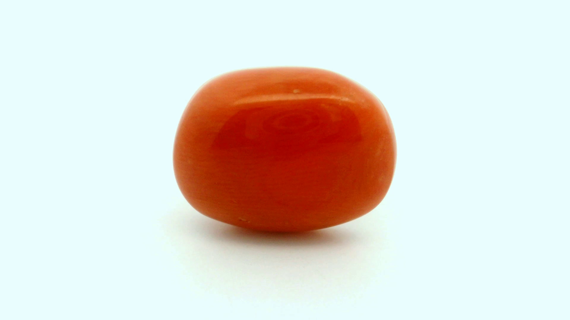 Natural Coral 8.00 cts