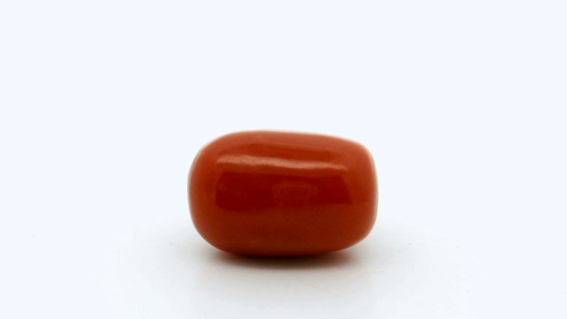 Natural Coral 11.50 cts